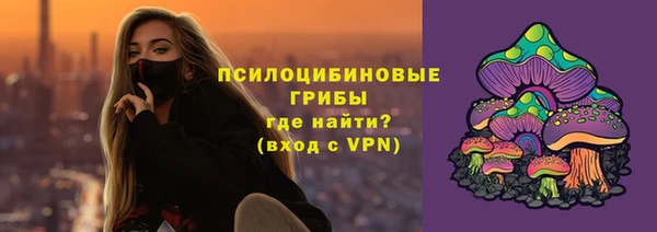 бошки Алексин