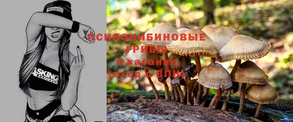 бошки Алексин