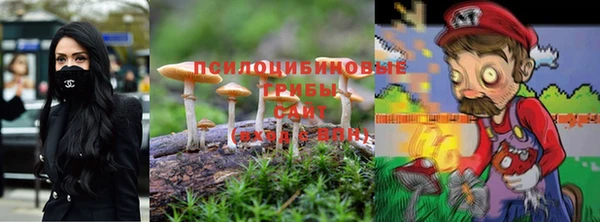 бошки Алексин