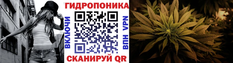 Канабис OG Kush  наркота  Ардон 